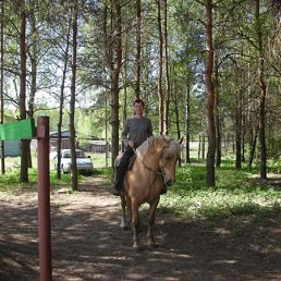 Сергей, Санкт-Петербург